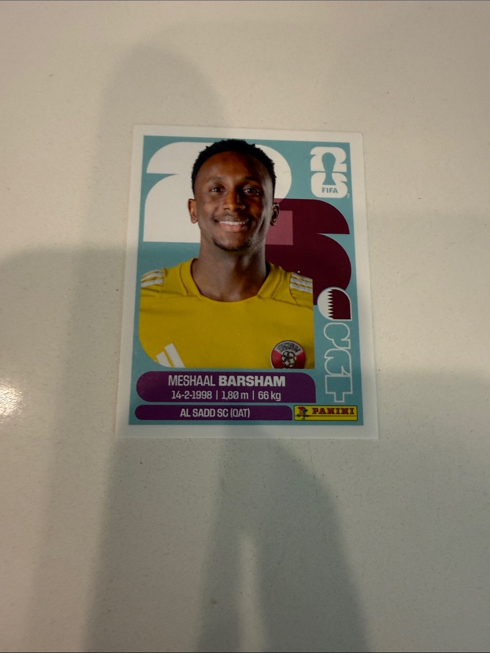 Panini Soccer Card